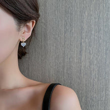 Load image into Gallery viewer, New Love Zircon Earrings Silver Needle Stud Earrings
