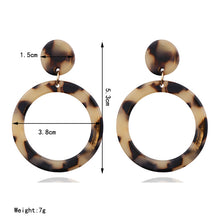 Load image into Gallery viewer, Acrylic Acetate Plate Leopard Earrings For Women Earring
