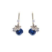 Load image into Gallery viewer, Earring Earrings Dangler S925 Silver Needle Earings Women
