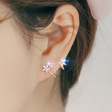 Load image into Gallery viewer, Earring short hair earrings
